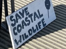 BeachCleanup05_04.24.22-scaled