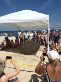 Sand-art-3