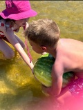 Watermelon-2026-2