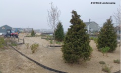 Landscaping-North